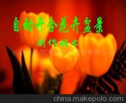 自动开合花 科技与自然的完美融合