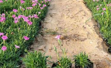 耐寒化妆品 冬日肌肤的守护者